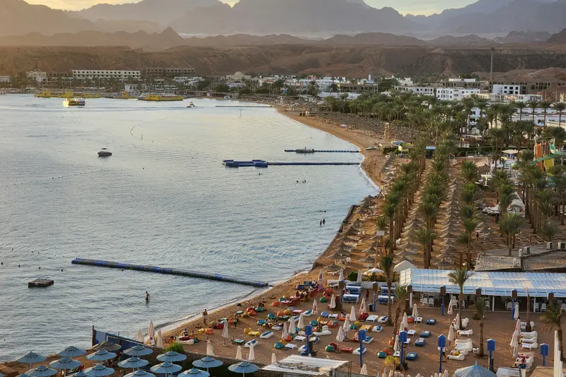 A palm-lined beach and calm bay in Sharm el-Sheikh on the Red Sea